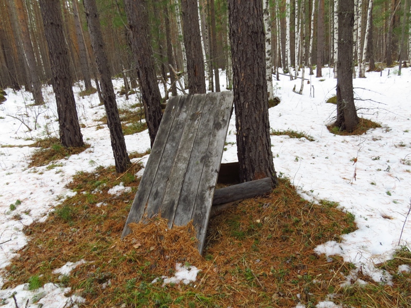 ������� (��� �����)