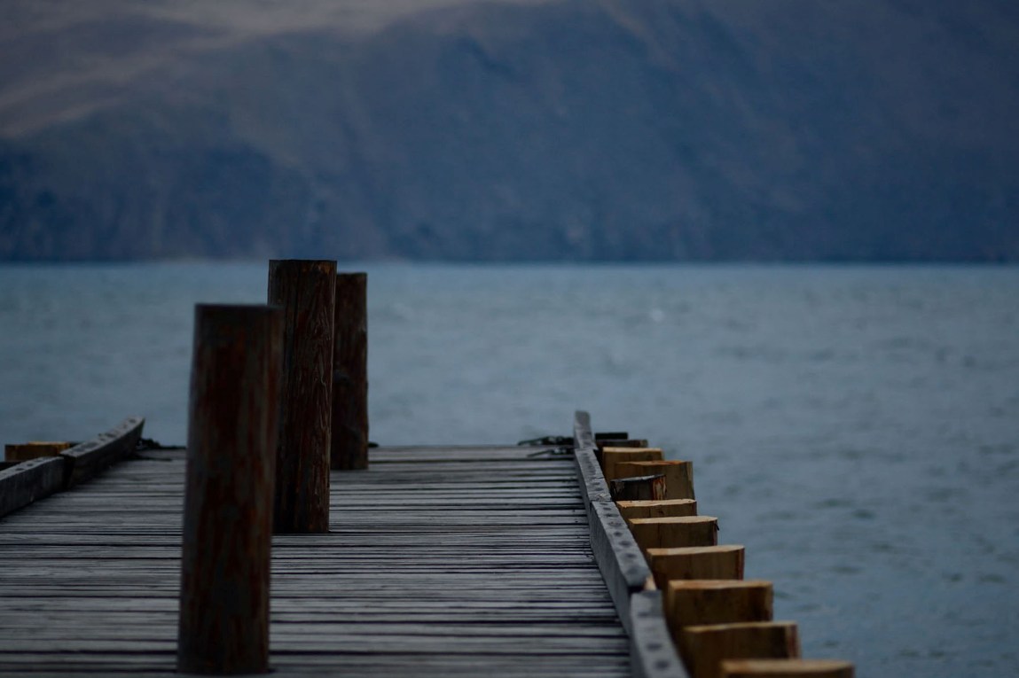 ��� ������