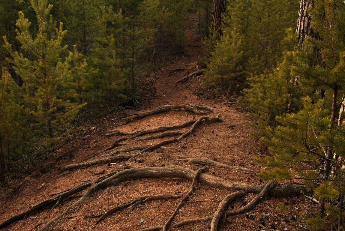 �������� �� "������" (�� �����)