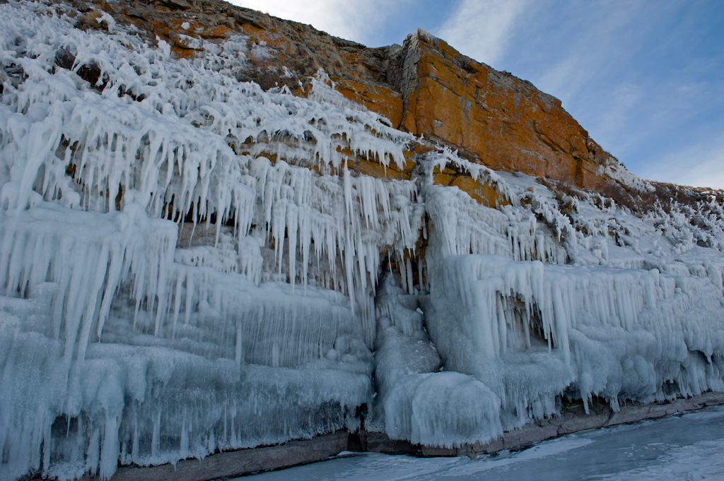 ����� ����