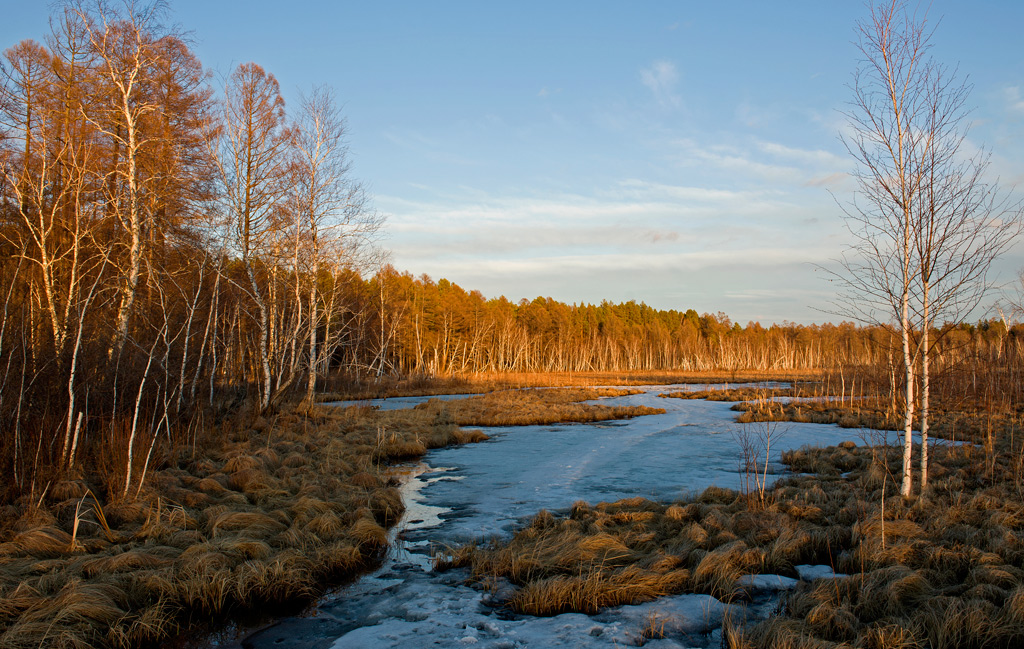 ���� ��������