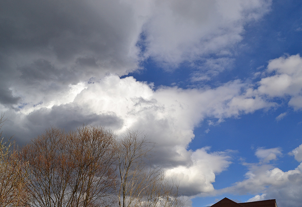 � ������