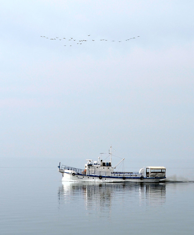 �� ��������� ������