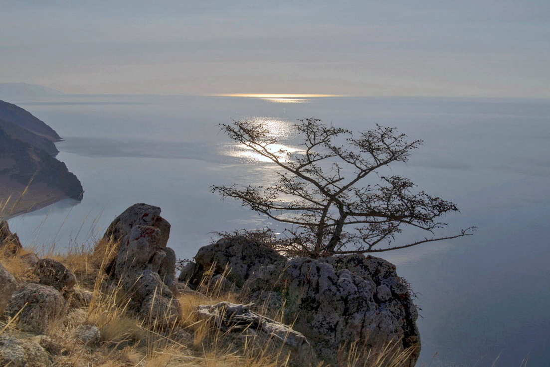 ����������� �����������