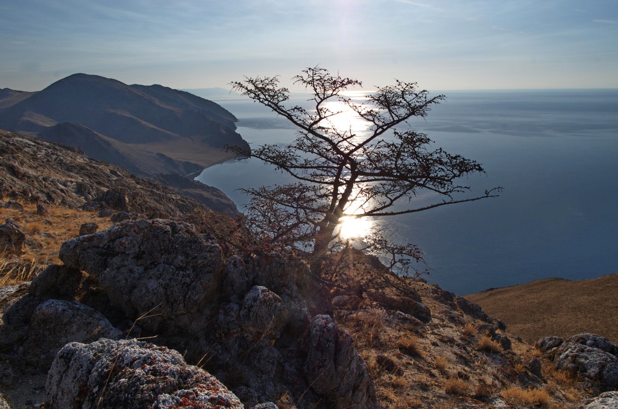 ����������� ����