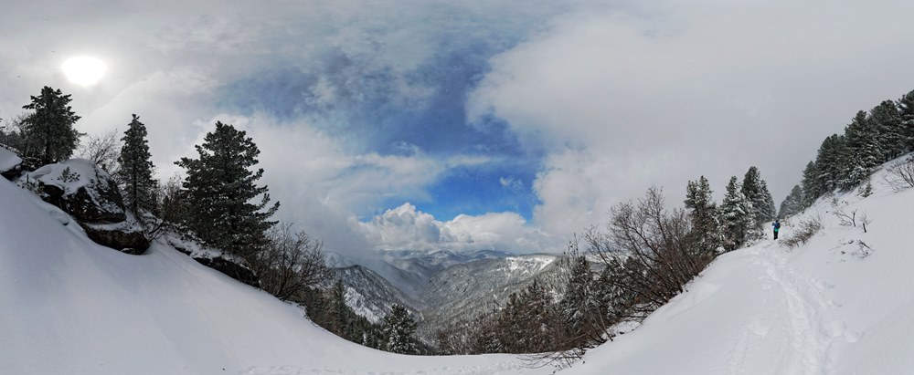 �����-�����