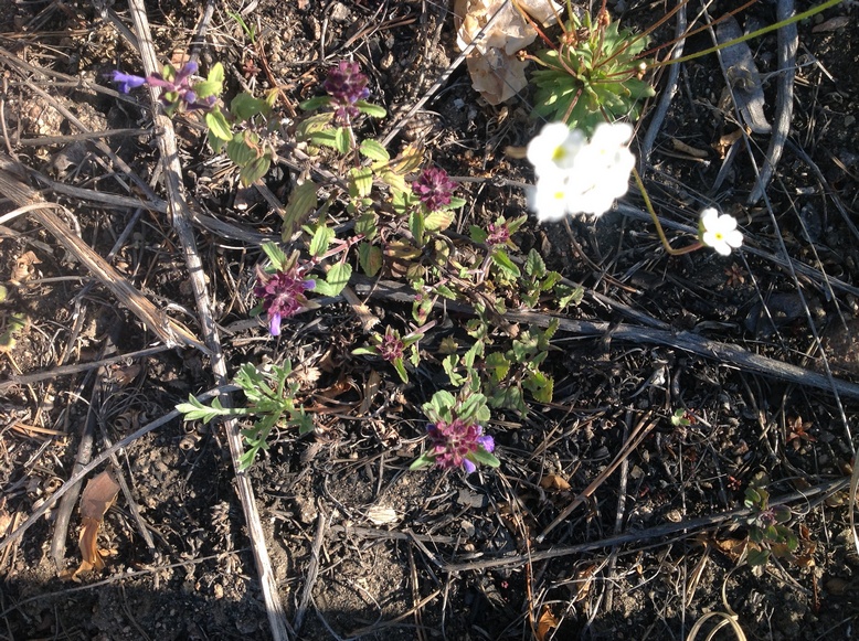 ������������