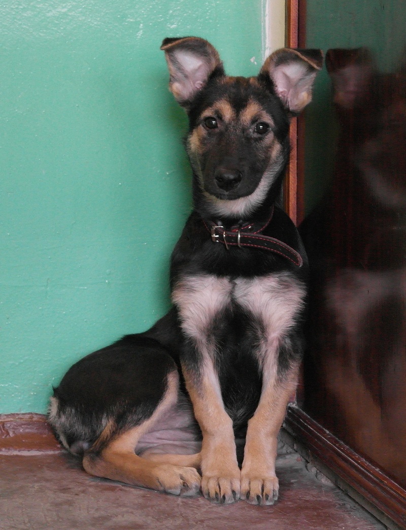  ����� (��� ��������� �������� ������?) ���� � ���� ����� ������!