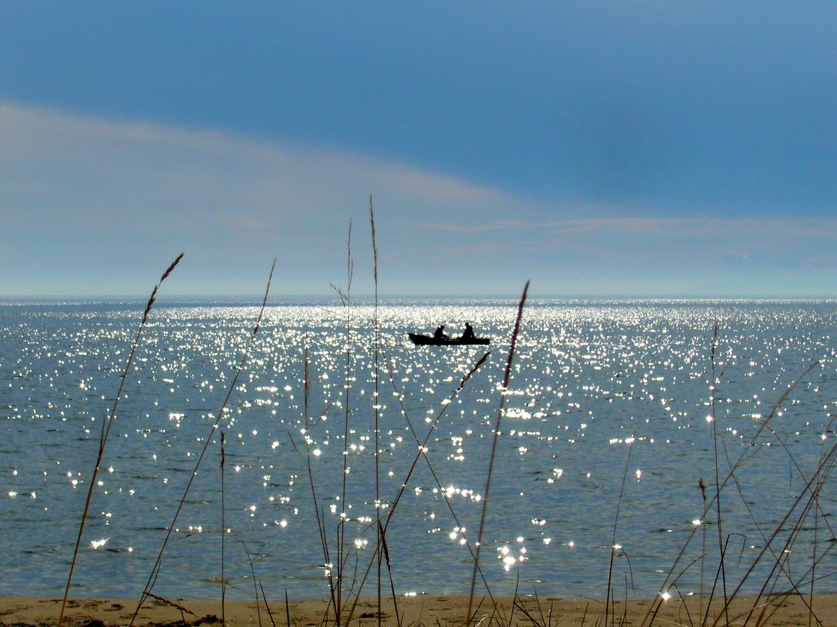 �� �������