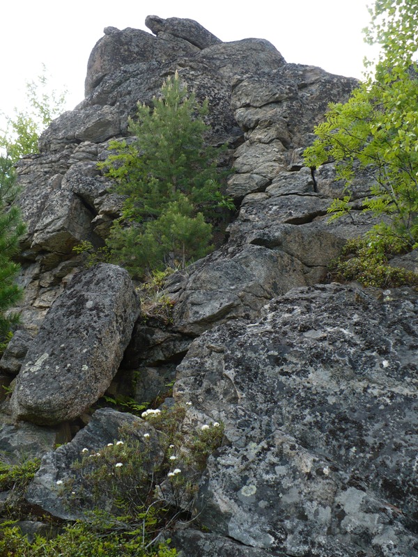 Ск. Смоленский