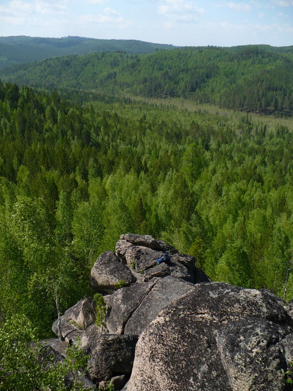 Голова Верблюда