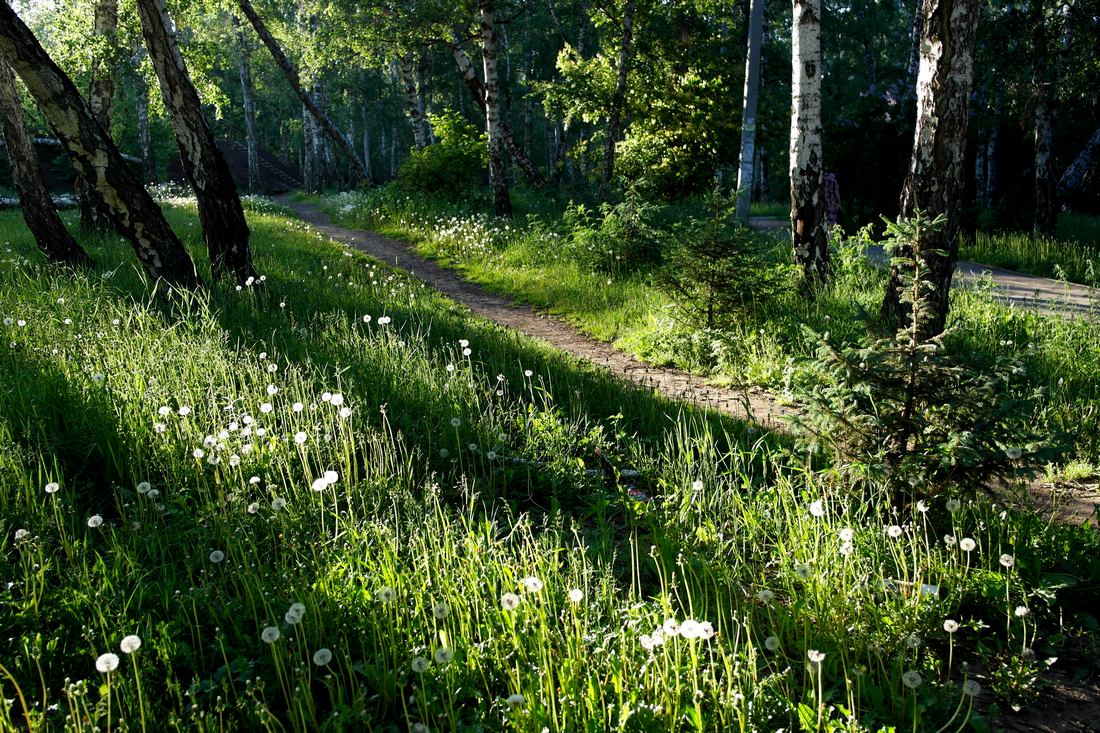 �� "���������" ��������. �������.