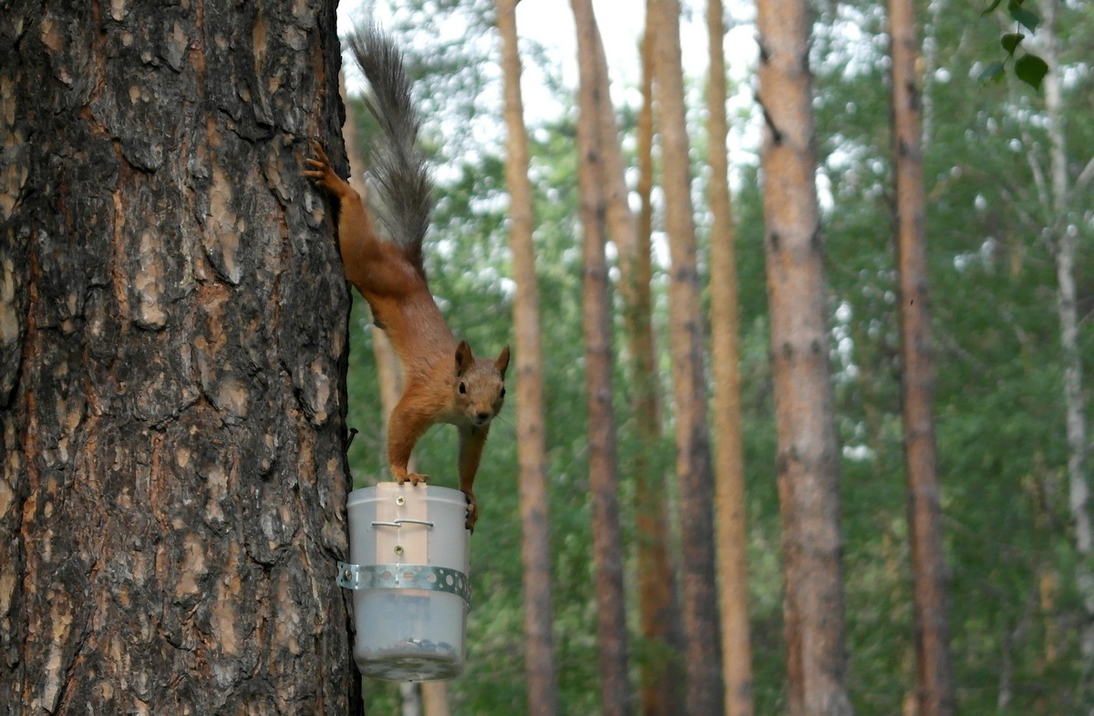Столуюсь я тут, чтобы Вы знали