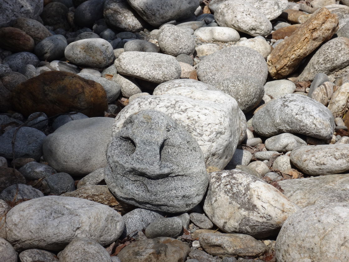 �������� �������.