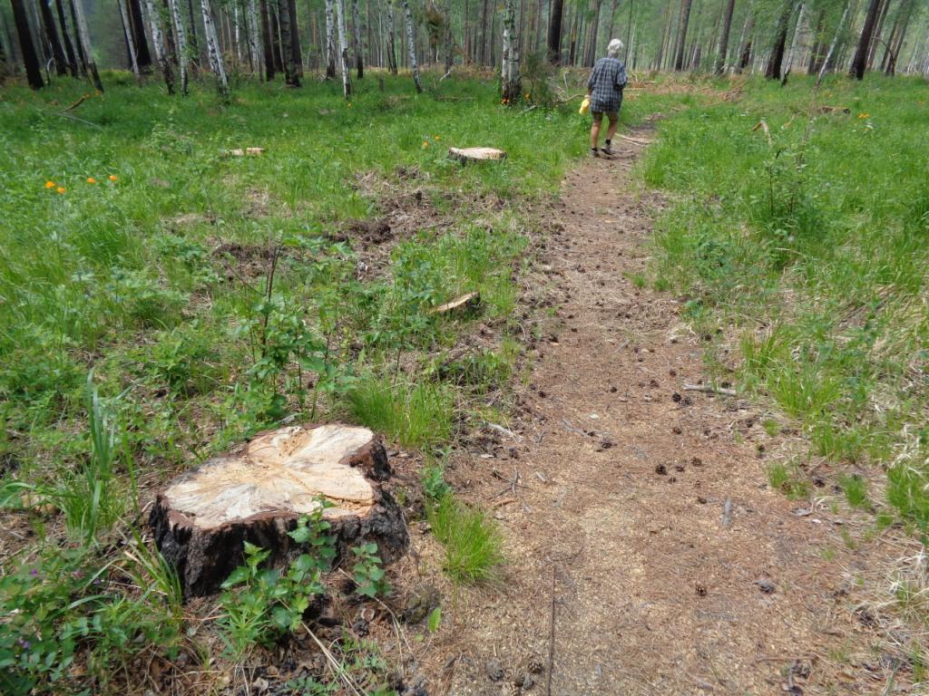 ����������. ����������� ����� �������� 1