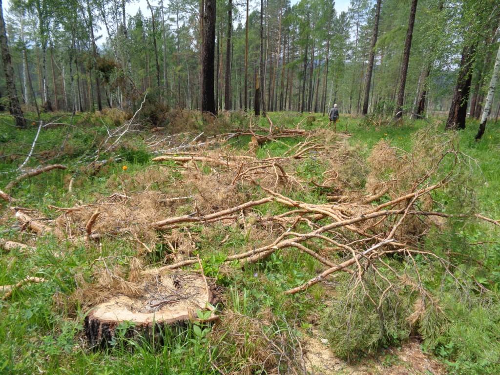 ����������� ����� �������� 2