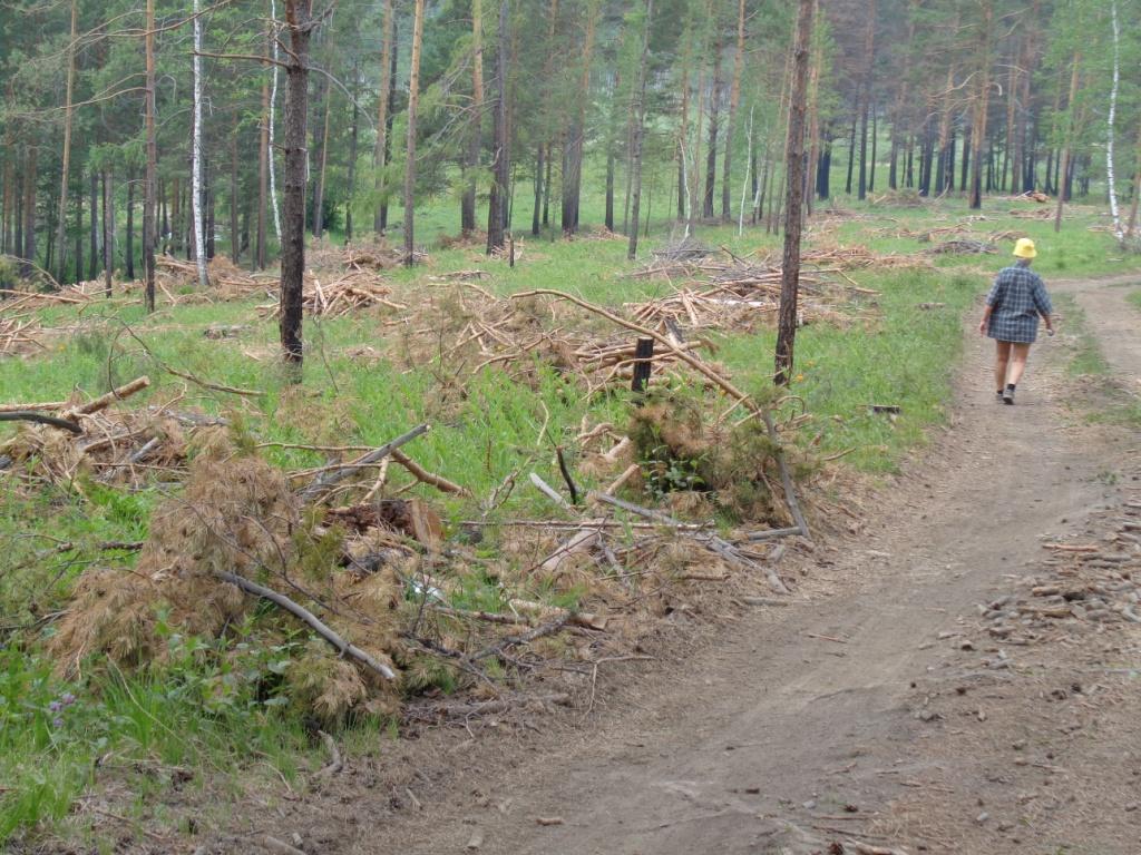 ����������� ����� �������� 3