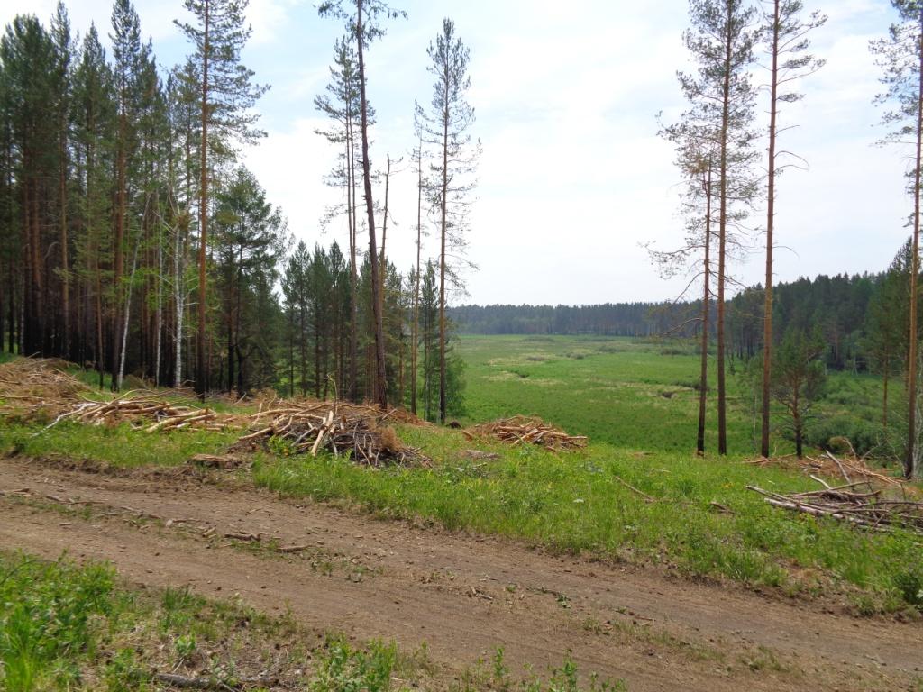 ����������� ����� �������� 4