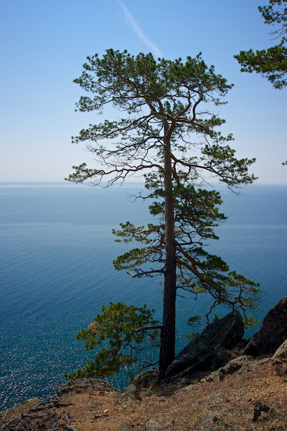 � ���� ������