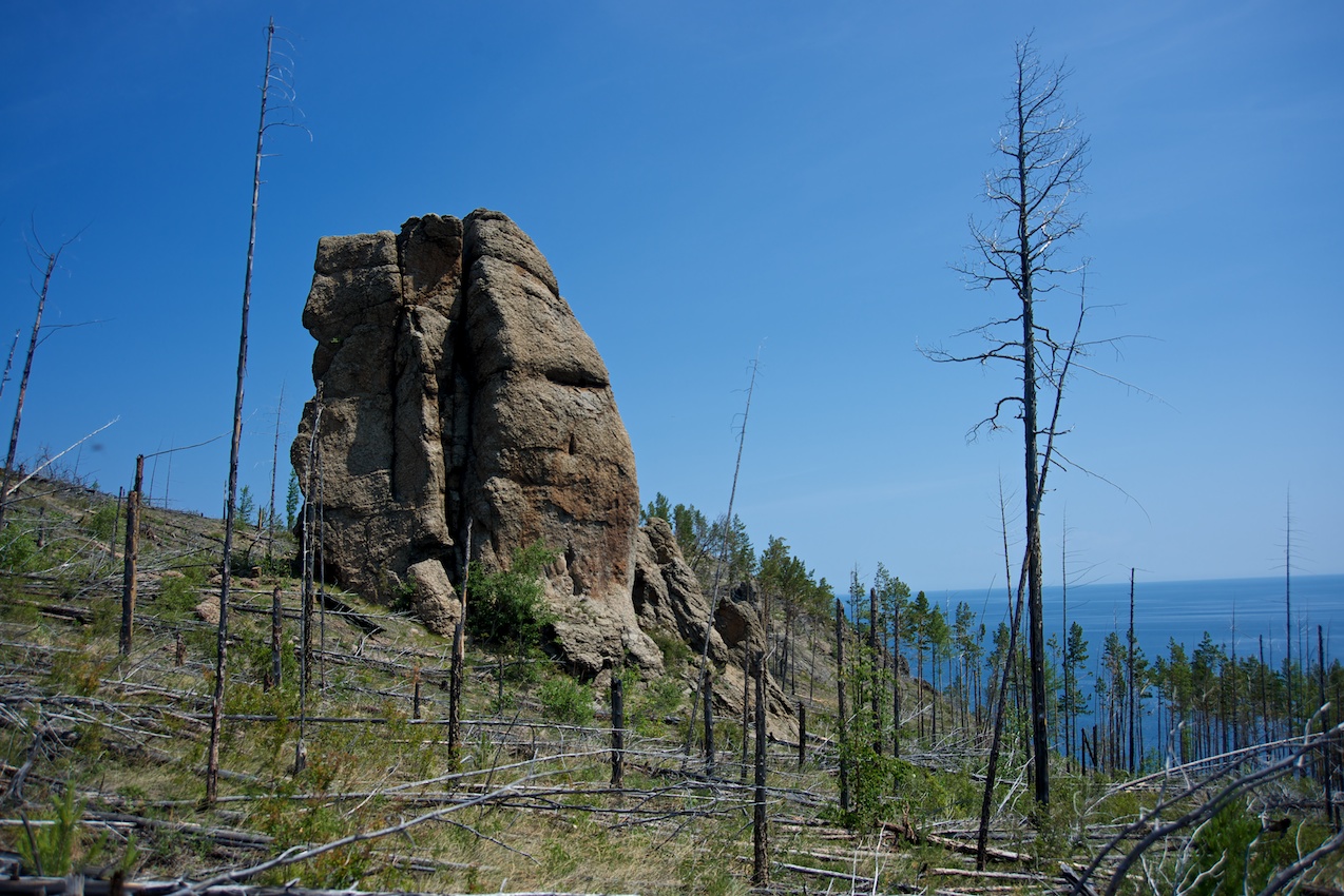 �������_1