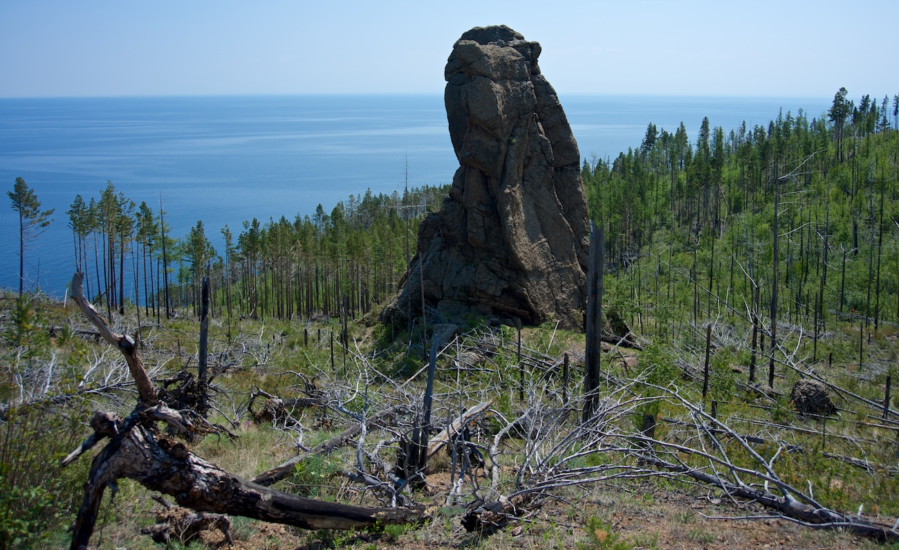 �������_3