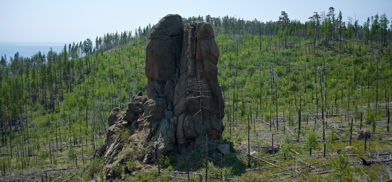 �������_2