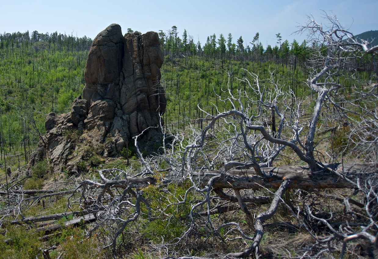 �������_4