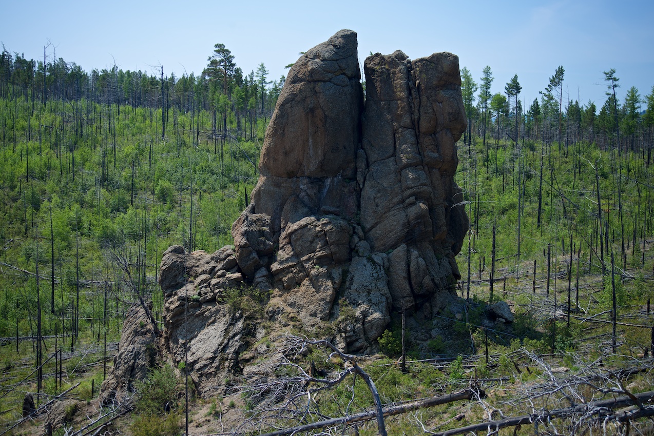 �������_5