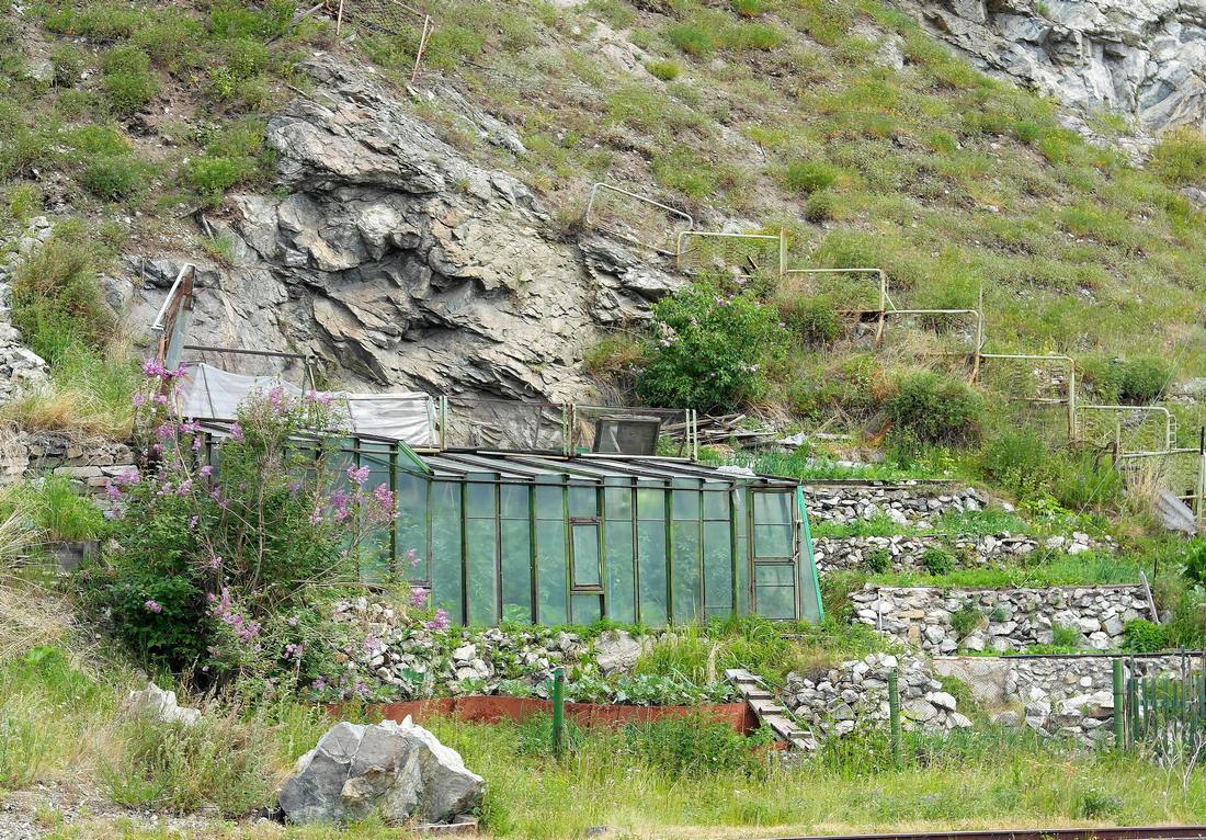 ����� ����� �����