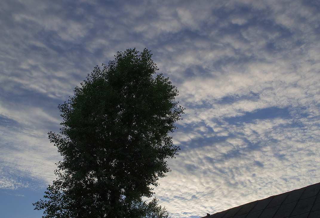 ������������� ��������������