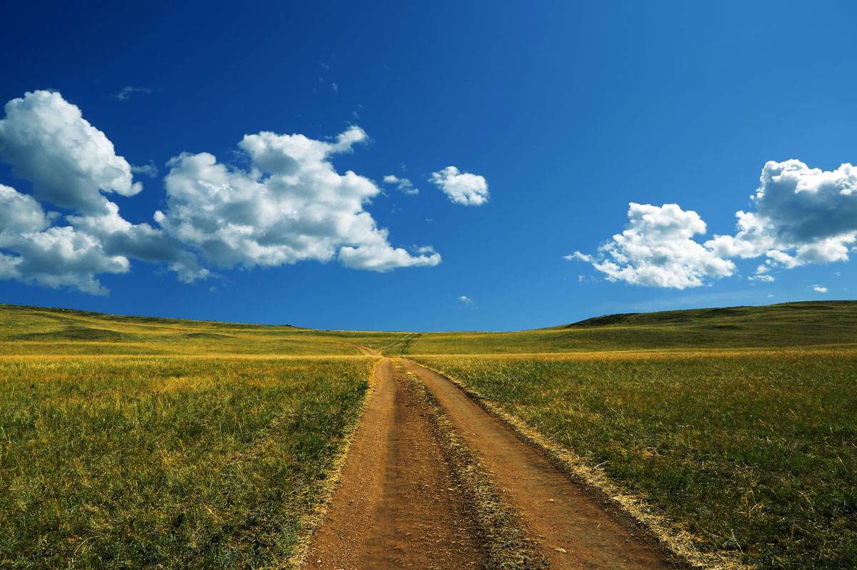 ������ � ����