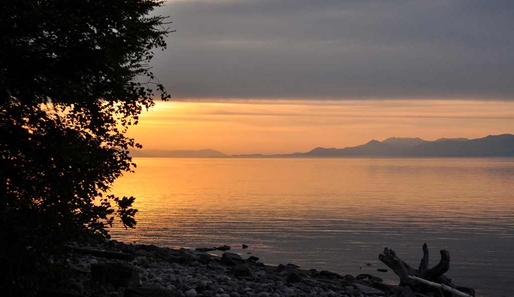 �������� ������. �������.