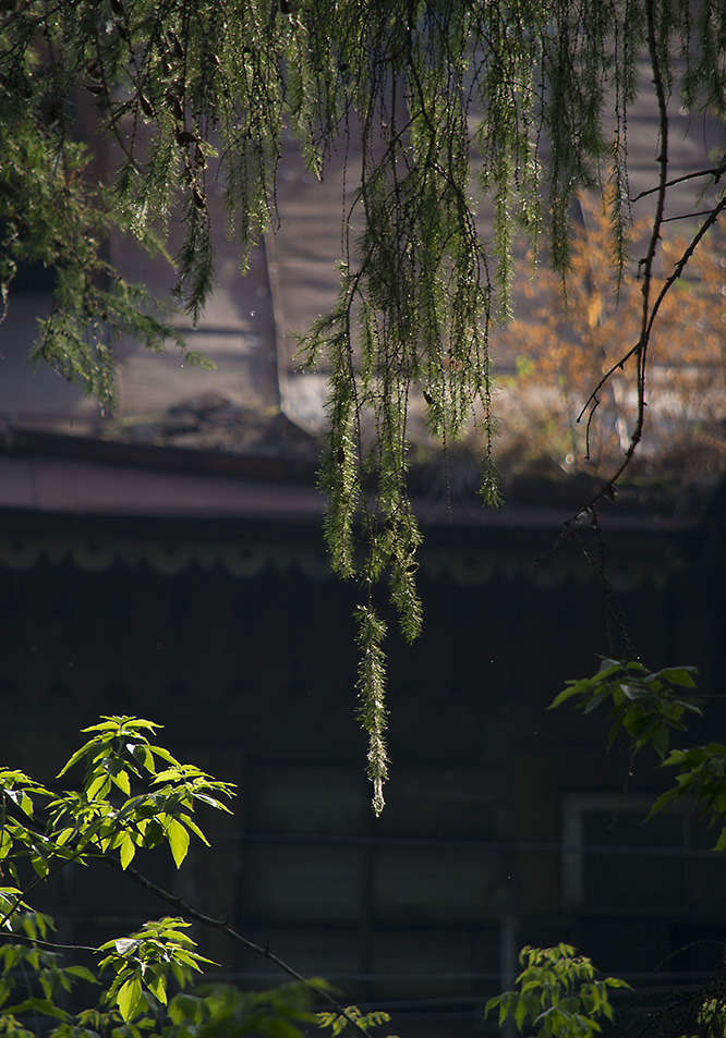 "������� �����������"