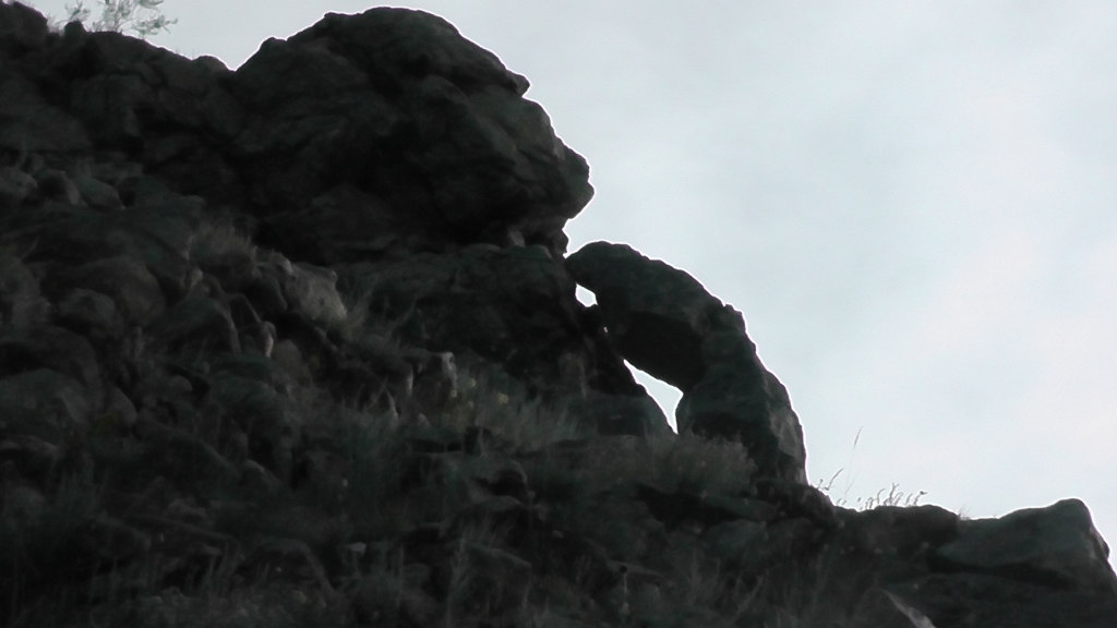 ����� ����