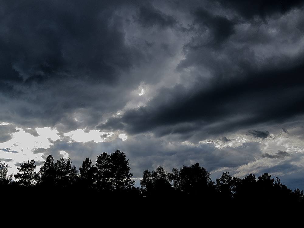 ������, ����