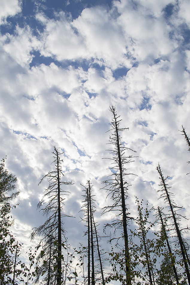 ���������� ��� �����