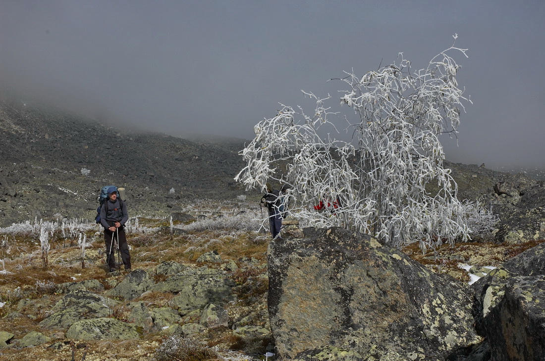 ������ � "�������" �� �����������