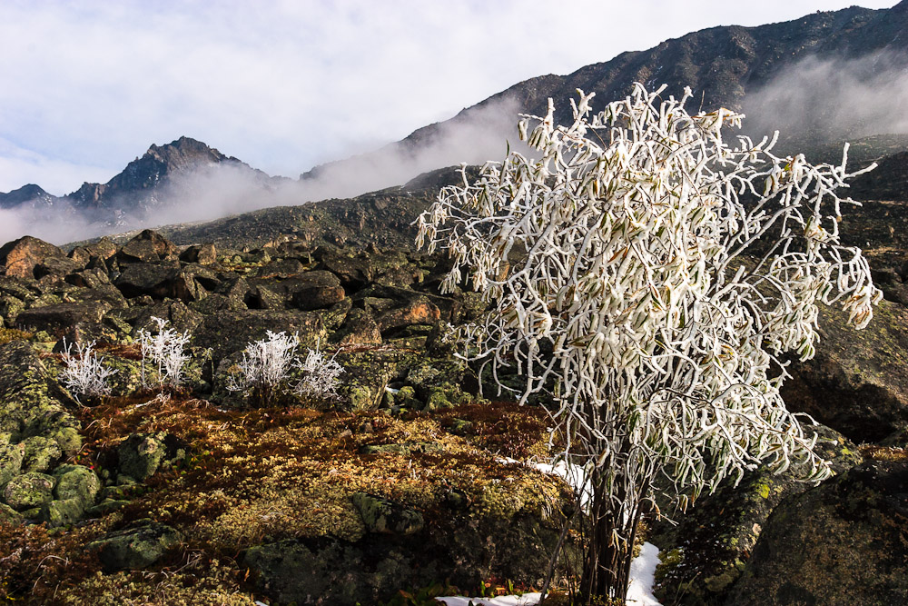 ������ �����