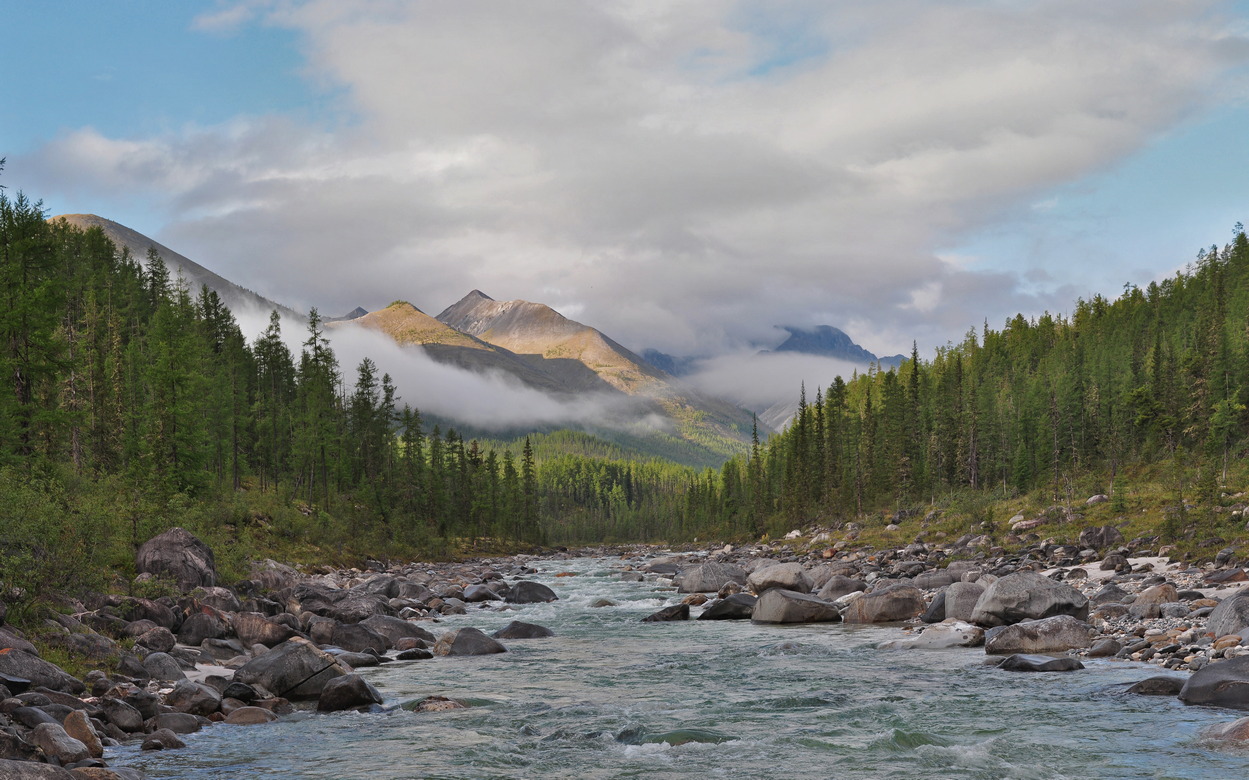 ���� ������ �����