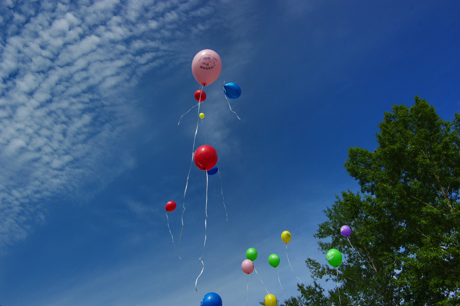 1 ��������