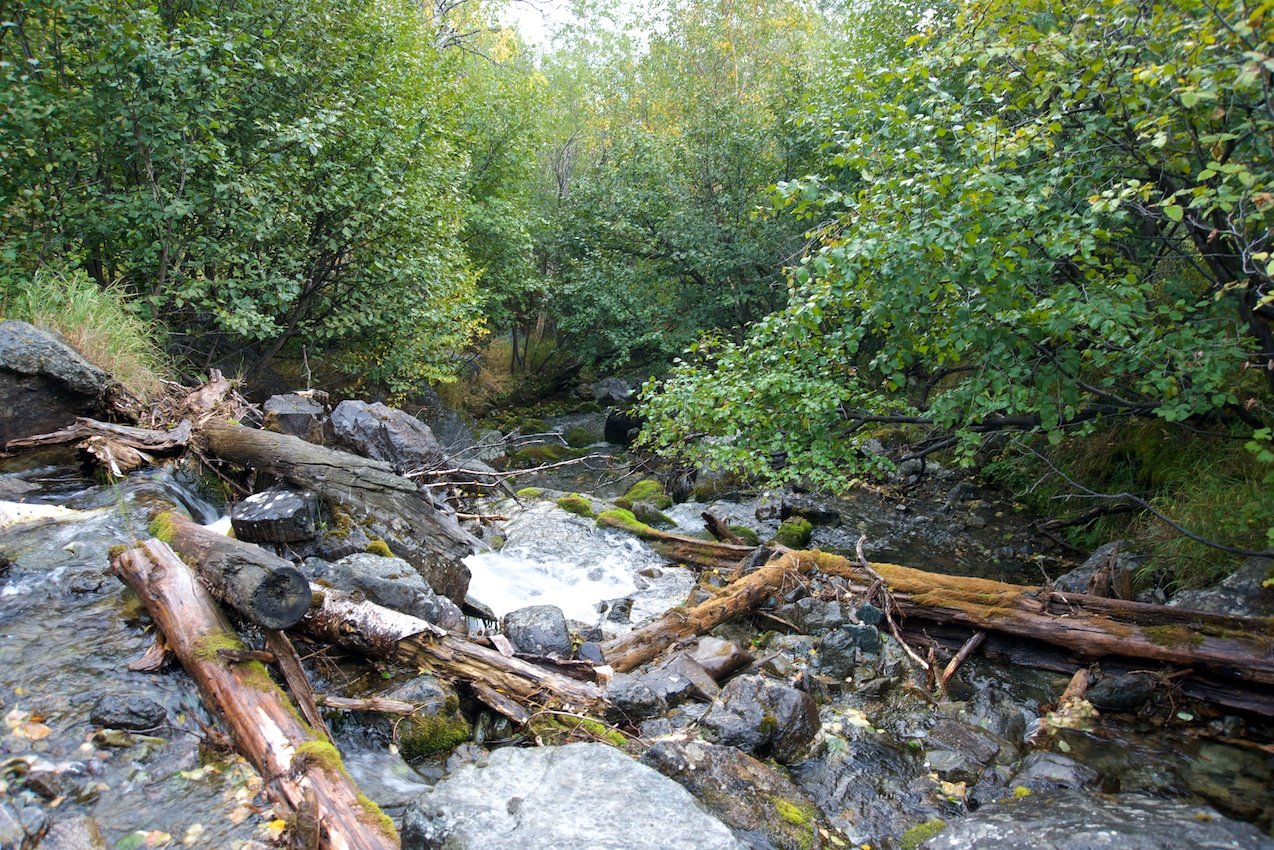 �����, ��������� �� ��� ����������