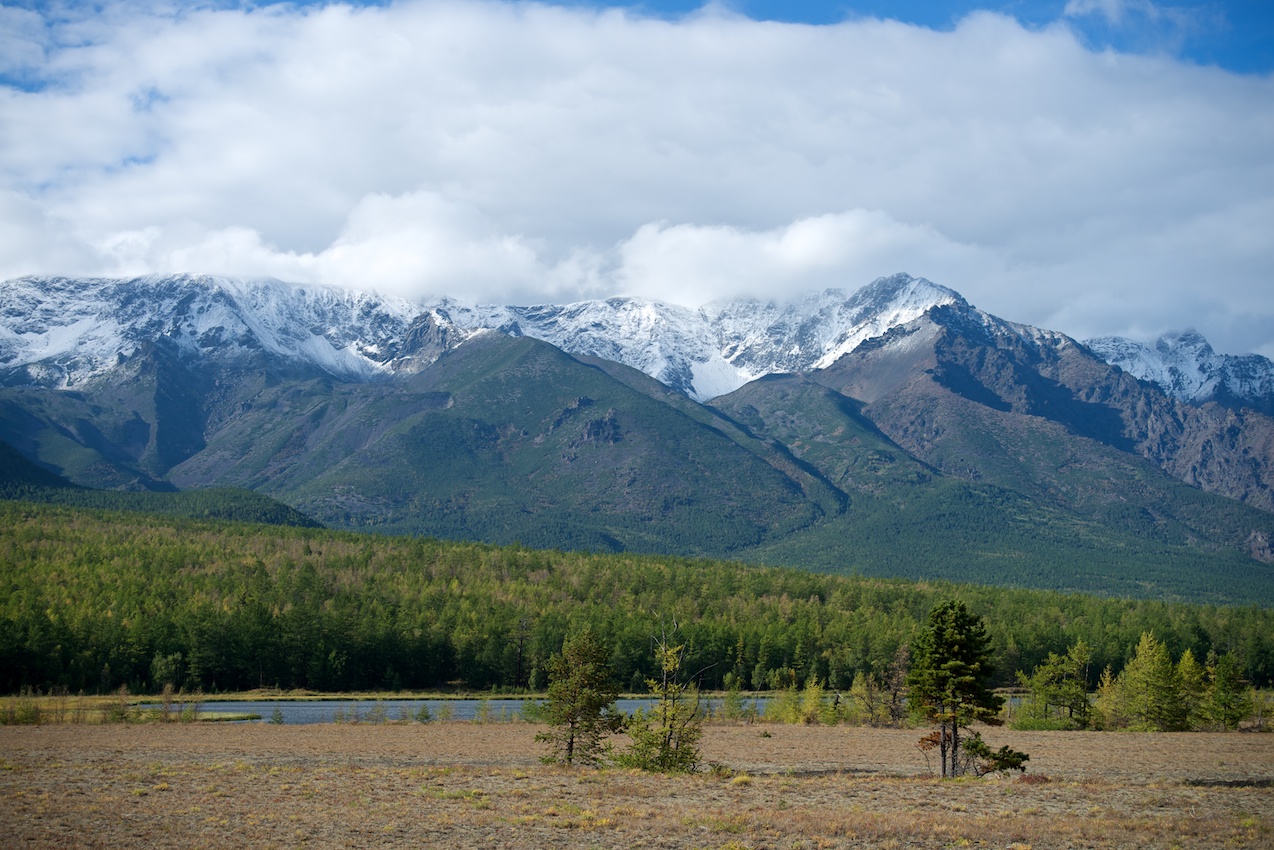 ��� ������ ��������