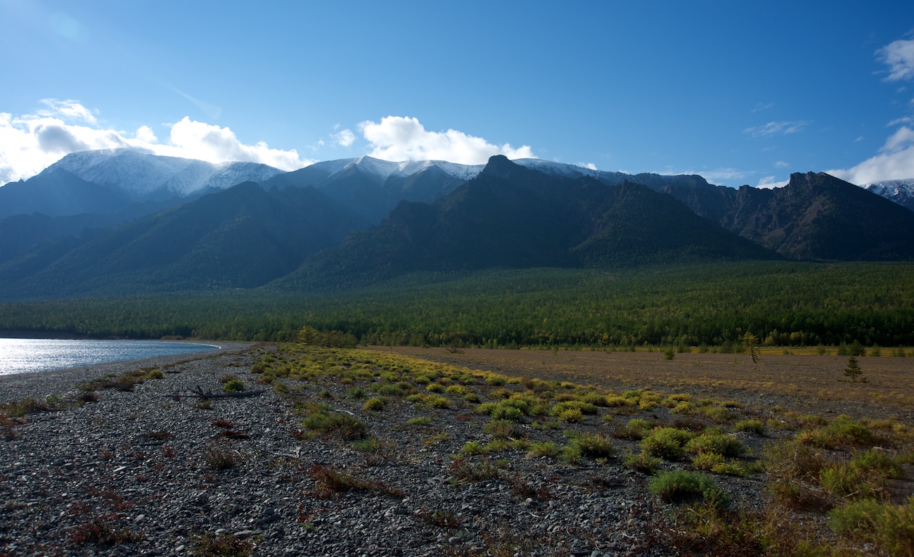 ��� �� �����