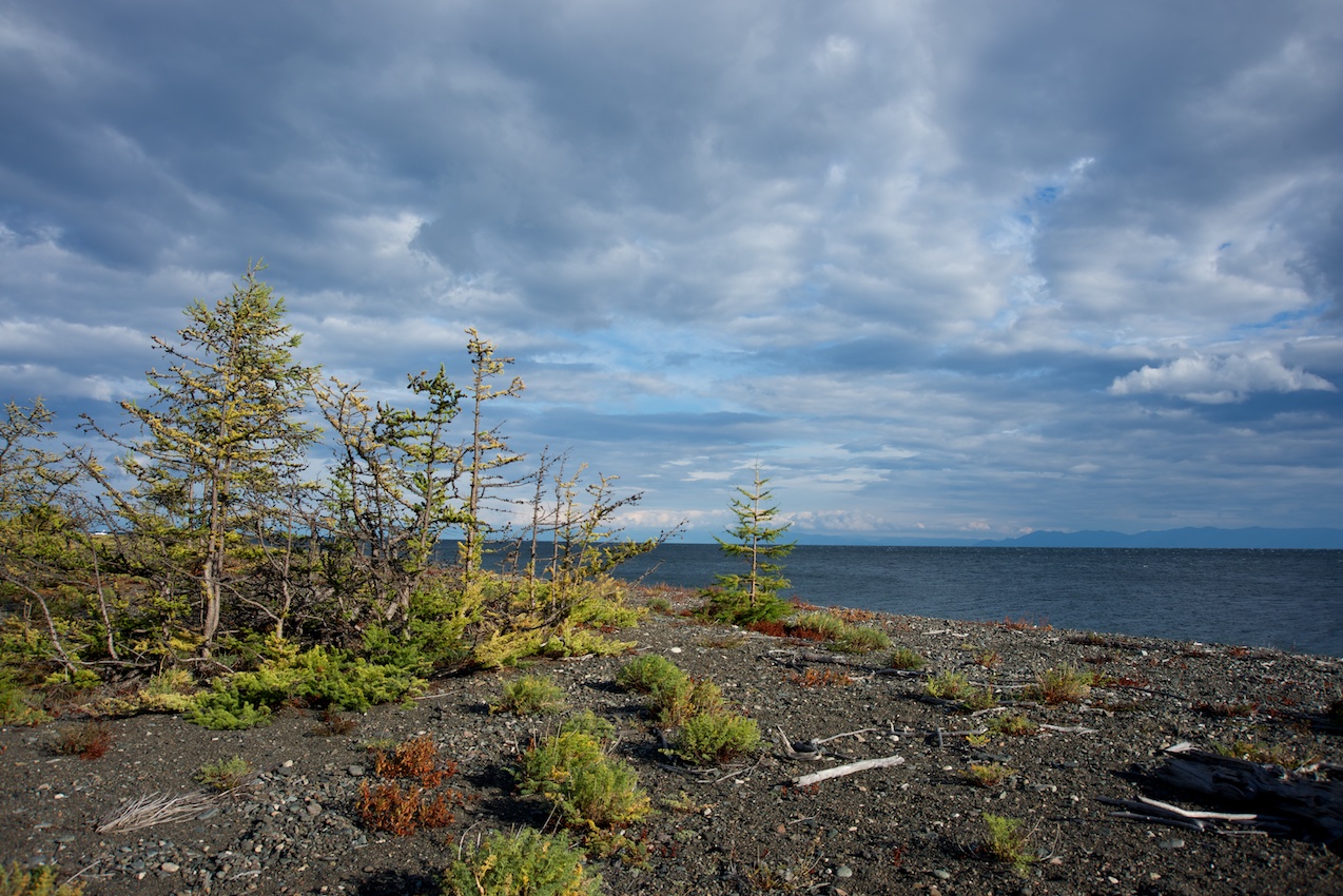 � ���� �� ������� �������, ���� �� �����, ����� �������