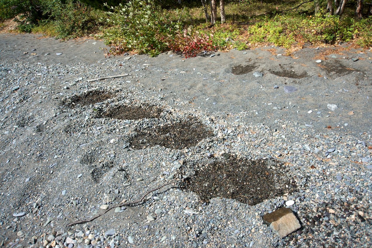 ��� ����� ����� �� ������� ����� �� �������� ����� �� ���� ��������