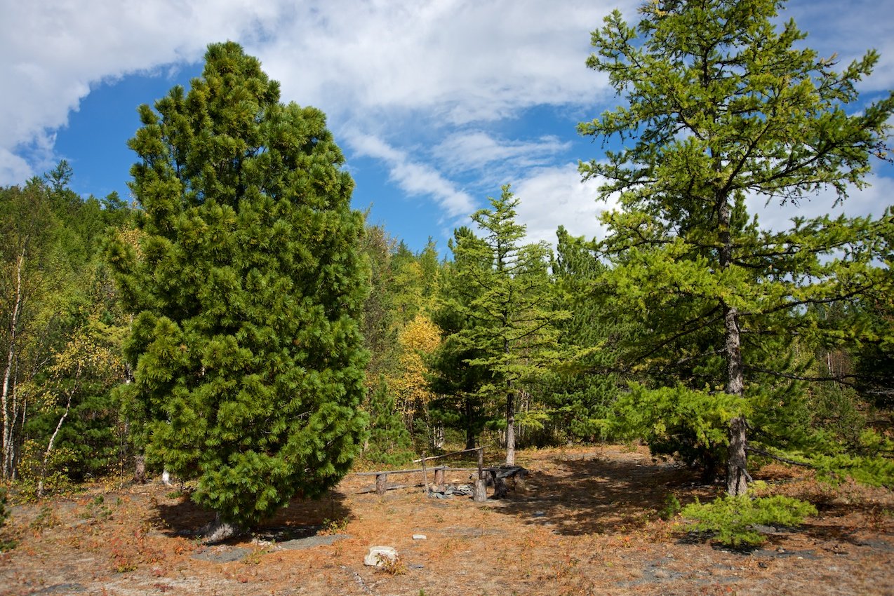 �������� ������, �������� �������, ����� ���������� ���������� �������