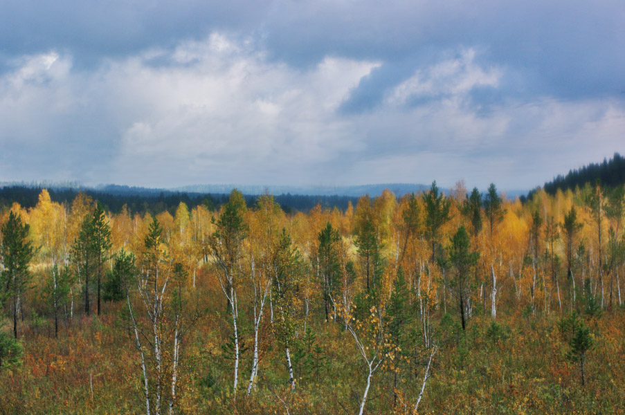 ����� �������� �� ������� �����������