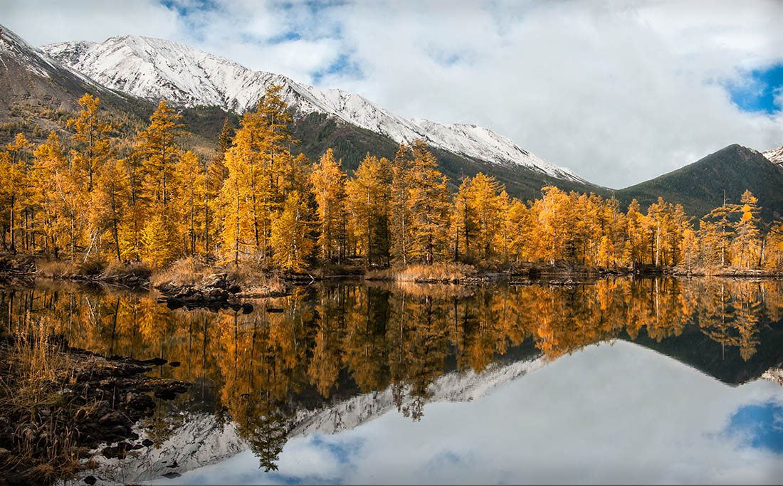 ��� ��� ����-���