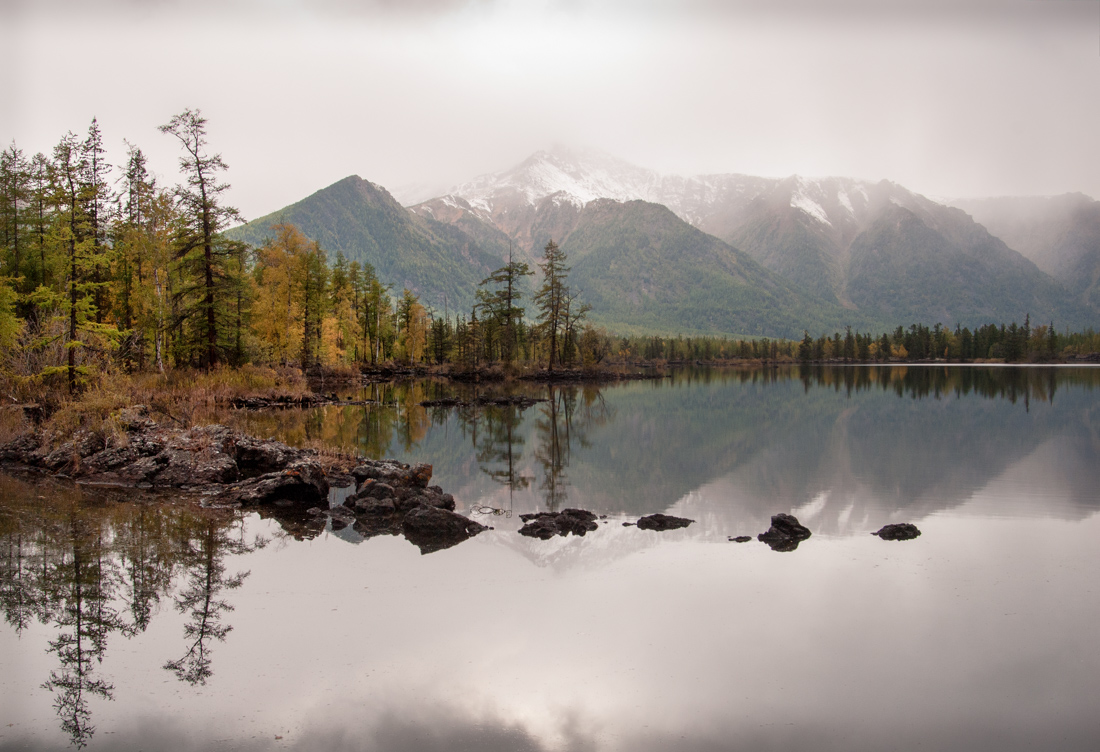 ��������� ������� ����