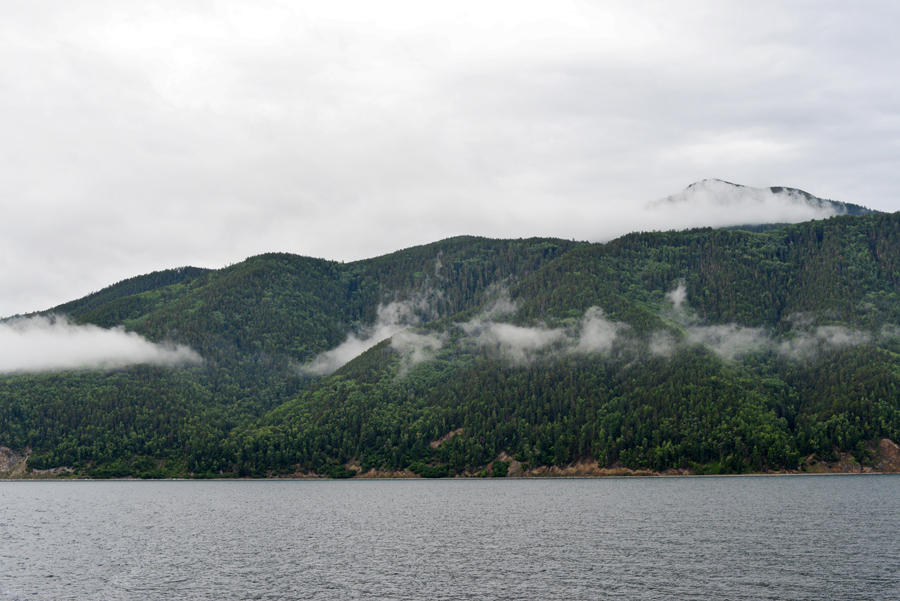 ������ �������